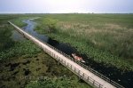 Photo: Point Pelee National Park Boardwalk