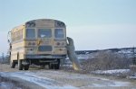 Photo: Polar Bear Watch Churchill Manitoba