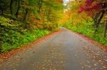 Photo: Quebec Jacques Cartier Provincial Park Autumn