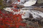 Photo: Red Autumn Leaves Sand River Waterfall Ontario