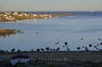 Photo: Red Bay Coastal Town Boney Shore Trail Southern Labrador