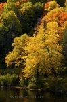 Photo: Jacques Cartier River Fall Colours Quebec Canada