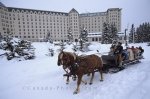 Photo: Sleigh Ride Banff National Park