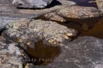 Photo: Small Pools Mealy Mountains Southern Labrador