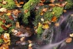 A stream flowing through Fundy National Park of Canada in New Brunswick.