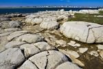 Photo: Thrombolites Newfoundland