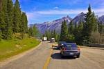 Photo: Wildlife Traffic Jam Banff National Park Alberta