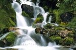 One of the waterfalls in Banff National Park flowing over green moss along the Icefield Parkway, Alberta, Canada.