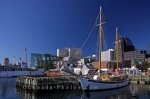 Photo: Waterfront Halifax Tall Ship The Mar