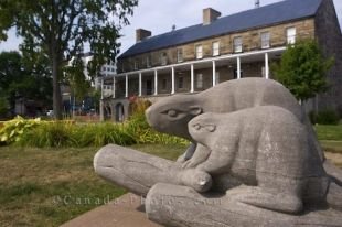 Beaver statues are displayed in the garden at the Historic Garrison District in downtown Fredericton in New Brunswick, Canada.
