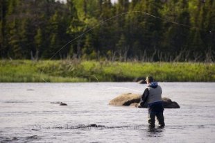 A man spends his day fly fishing in the Salmon River near Main Brook surrounded by the wilderness of Newfoundland, Canada.
