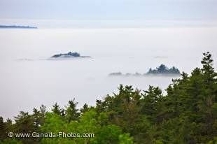 The lush green forest fringing Lake Superior appears to keep the fog confined to the water surface. This picture of Lake Superior in Ontario shows the tops of forest clad islands and a portion of the forest surrounding the fog shrouded lake.