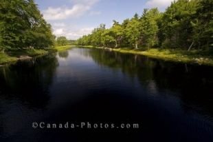 Lush greenery makes up the scenery along the banks of the Mersey River in Kejimkujik National Park in Nova Scotia, Canada.