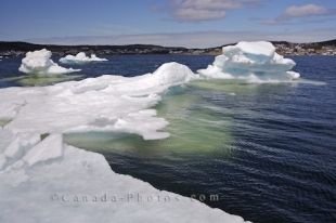 Looking out across the St Anthony Harbour in Newfoundland, Canada, beautiful masses of pack ice float aimlessly about.