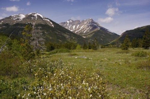 Photo: Blakiston Valley Southern Alberta