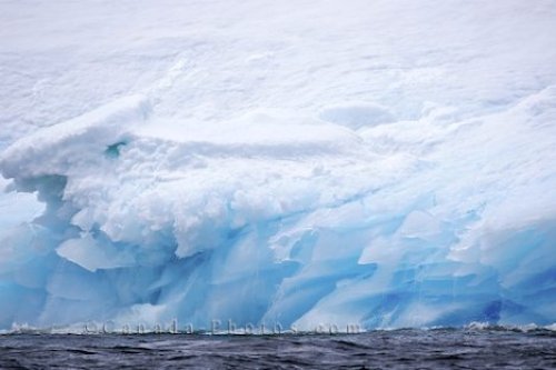 Photo: Blue Icebergs Iceberg Alley Newfoundland