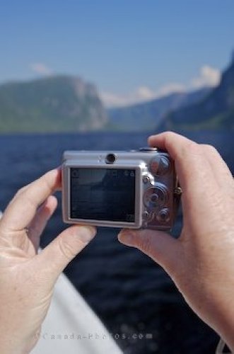Photo: Camera Shot Newfoundland