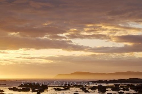 Photo: Coastline Fog L Anse Aux Meadows Newfoundland