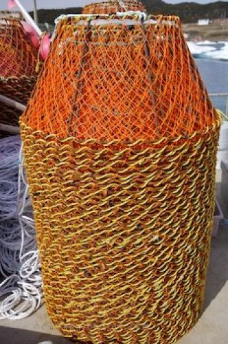Photo: Commercial Fishing Crab Pots Conche Newfoundland