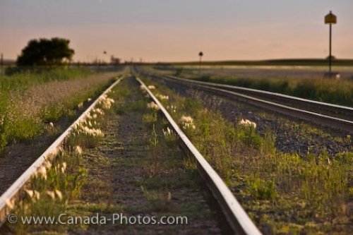 Photo: CP Railway Line Morse Saskatchewan Canada