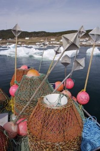 Photo: Crab Fishing Equipment