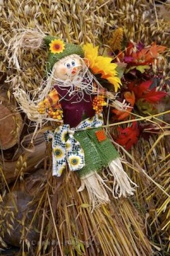 Photo: Decorative Oats Saturday Markets New Brunswick