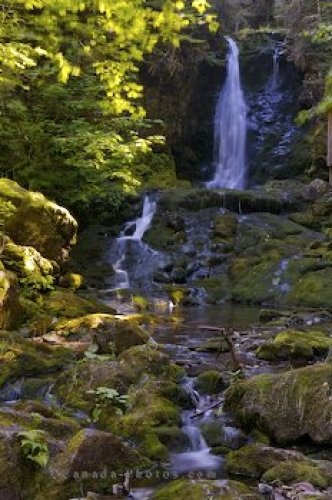 Photo: Dickson Falls Fundy National Park New Brunswick