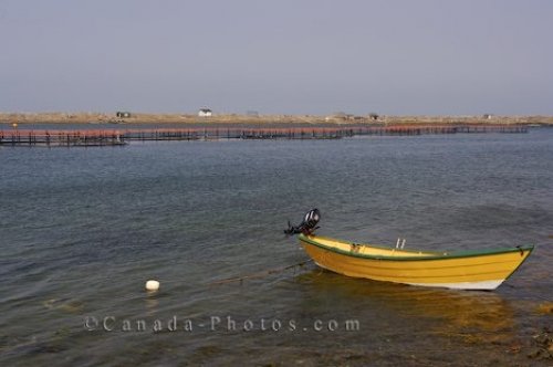 Photo: Dory Boat Fish Farm Grand Manan New Brunswick