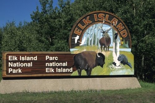 Photo: Elk Island National Park Alberta