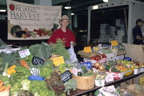 Photo: Farmers Market In Kitchener