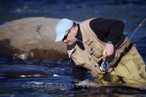 Photo: Fly Fisherman Southern Labrador Canada