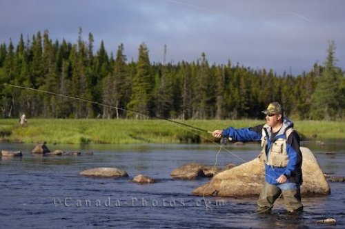 Photo: Fly Fishing Trips Main Brook