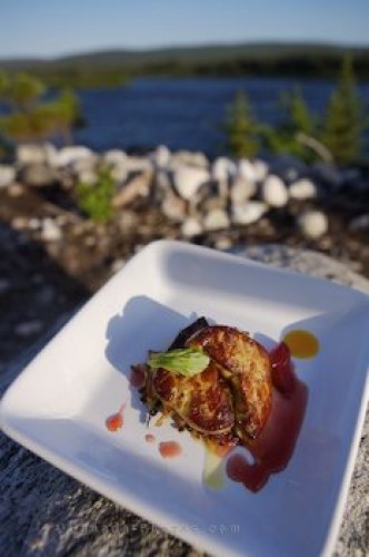 Photo: Foie Gras Duck Liver Food Picture