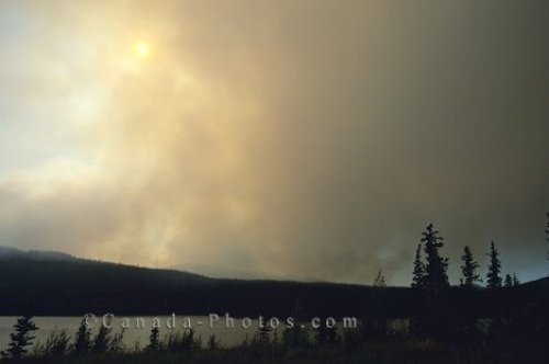 Photo: Forest Fire Smoke Yukon picture