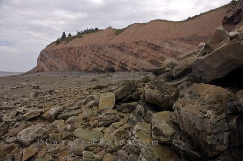 Photo: Fossil Cliffs Joggins Nova Scotia