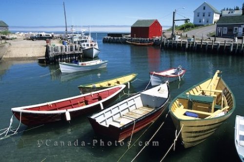 Photo: Fundy Bay Halls Harbour