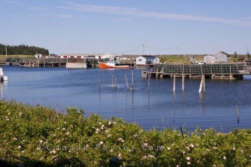 Photo: Gabarus Harbour Nova Scotia