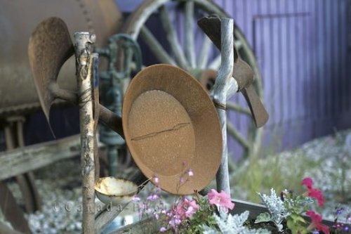 Photo: Garden Arrangement Klondike Gold Rush Yukon