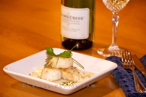 Photo: Gourmet Seared Scallops Entree White Wine Picture