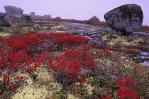 Photo: Granite Rocks Nova Scotia