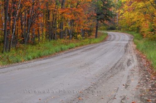 Photo: Gravel Forest Road Algonquin Provincial Park