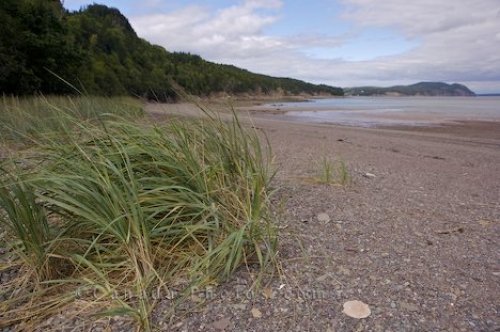 Photo: Herring Cove Beach New Brunswick