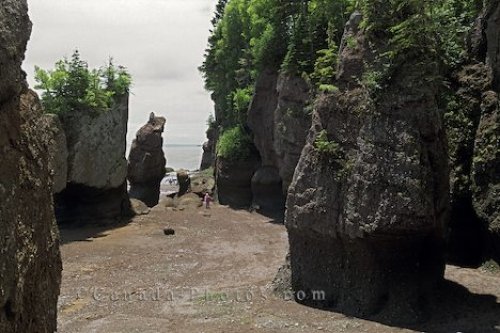 Photo: Hopewell Rocks New Brunswick