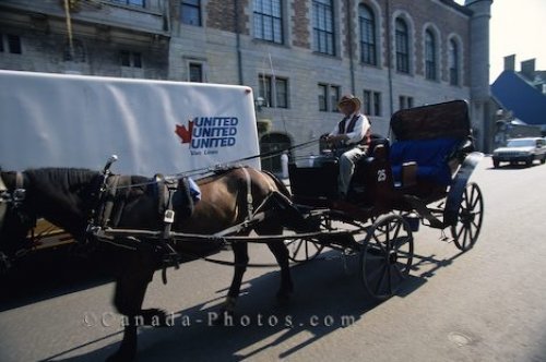 Photo: Horse Buggy Quebec