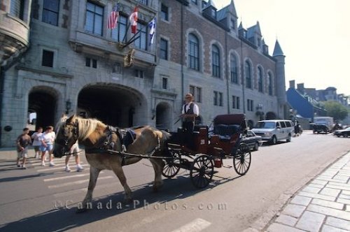 Photo: Horse Drawn Buggy Rides Quebec