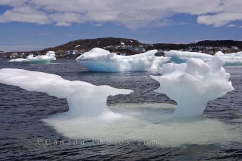 Photo: Ice Sculptures Newfoundland