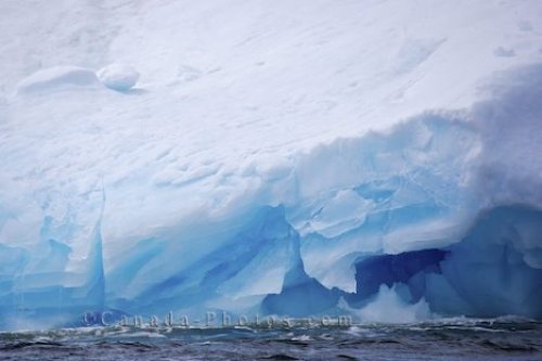 Photo: Iceberg Color Iceberg Alley Newfoundland