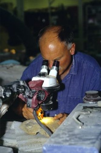 Photo: Lab Research Royal Tyrrell Museum Alberta