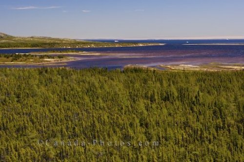 Photo: Low Tide Pinware River Mouth Labrador