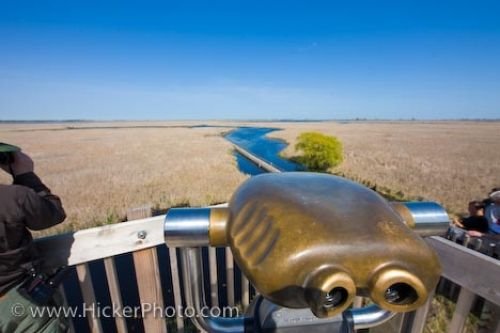 Photo: Marsh Boardwalk Binoculars Point Pelee National Park Leamington